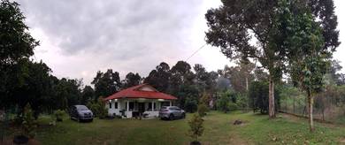 Tanah 1.9 Ekar Ada Rumah & Kebun di Sedim, Kedah - untuk dijual
