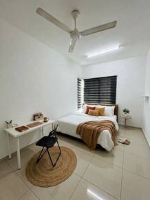 Tree Sparina Room to Let