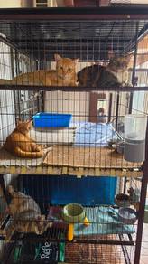 Cat Cage Double Layer