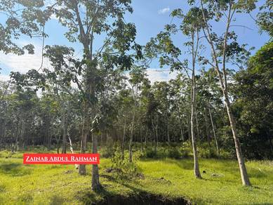 Agricultural-Land-for-sale-Kulim-Kedah