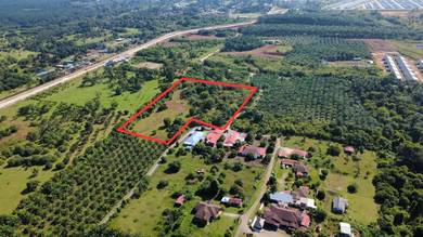 Tanah Pertanian 5 Ekar Rtp Bukit Goh Berhampiran Kotasas