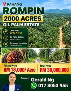 Pahang Rompin 2000 Acres Oil Palm Estate 10-13 years Trees Fire Sale