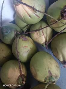 Coconut Pandan