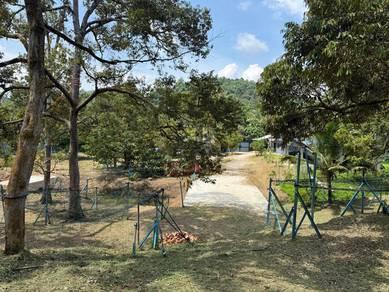 RARE FREEHOLD Land W Mineral Water/Durian Farm&Farmhouse @ Raub Pahang