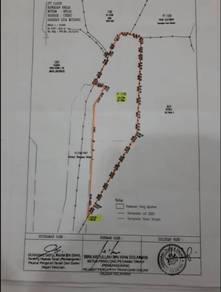 Ladang sawit 381 ekar di chiku gua musang