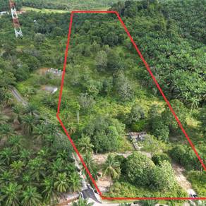 {TANAH REZAB MELAYU} Tanah Sungai Pcacat