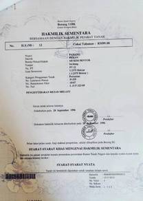 Agricultural-Land-for-sale-Kuantan-Pahang
