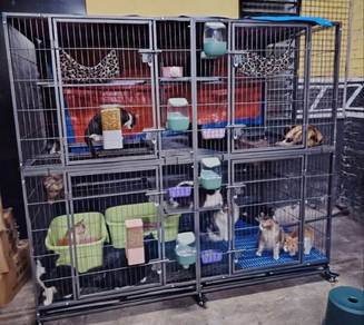 sangkar kucing