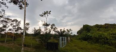 Agricultural-Land-for-sale-Pedas-Negeri-Sembilan