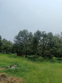 Agricultural-Land-for-sale-Chaah-Johor