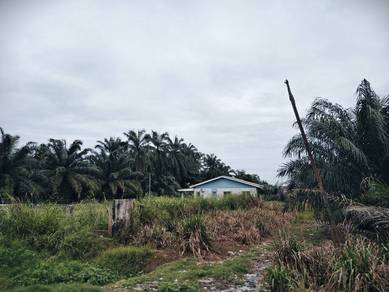 Agricultural-Land-for-sale-Kuala-Langat-Selangor