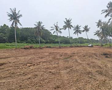 Agricultural-Land-for-sale-Jasin-Melaka