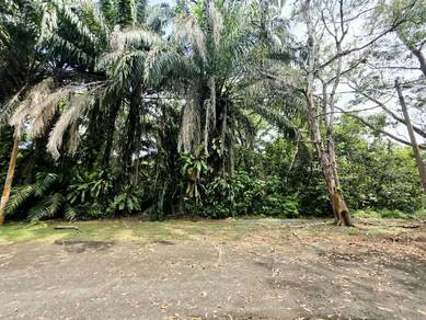Land-for-sale-Kuantan-Pahang