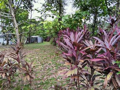 3 adjacent kenanga garden land @ saujana utama