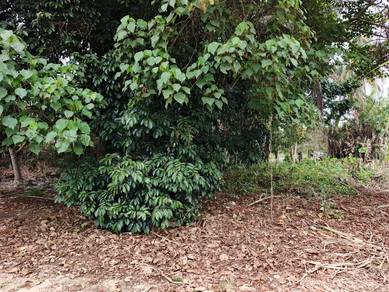 Residential-Land-for-sale-Kuala-Klawang-Negeri-Sembilan