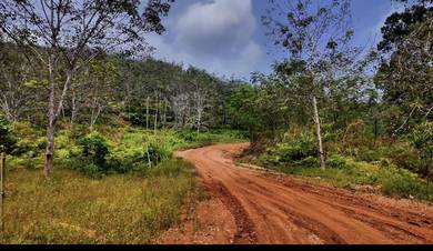 Agricultural Land in Kelantan