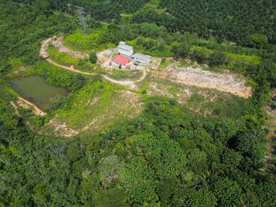 Tanah 6.6 Ekar Kuala Sawah, Rantau – Ada Kolam Ikan, Banglo & Rumah Bu