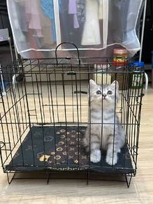 Bsh Mix Persian