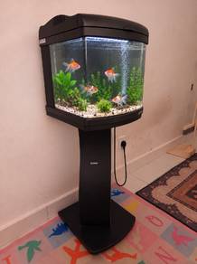 Akuarium with Matching Stand 🐠🐟