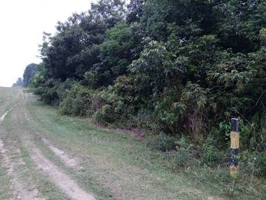 Agricultural-Land-for-sale-Kuantan-Pahang