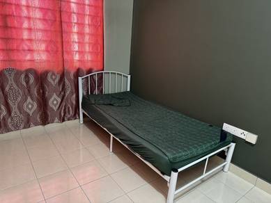 Bilik Sewa Lelaki 