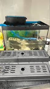 Aquarium