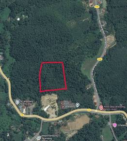 Tanah untuk dijual di Jerangsang, Pahang