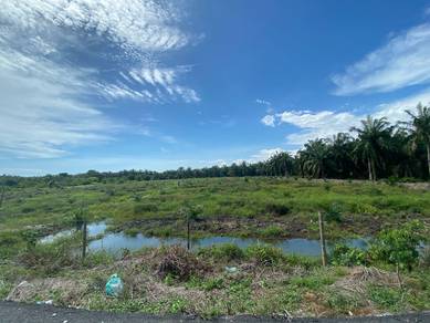Benut Pontian 3.04 Acres Agriculture Land Rectangular Shape Near River