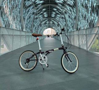 Raleigh classic folding bike