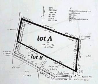 FREEHOLD 2 LOT 15.5 Acres Agricultural Land Durian Tunggal Alor Gajah