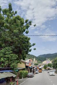 BEST BUY 1.5sty Shophouse Main Road Timber