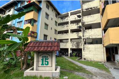 Flat PKNS-2