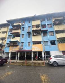 Flat PKNS-1