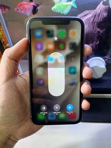 iPhone 11 256GB