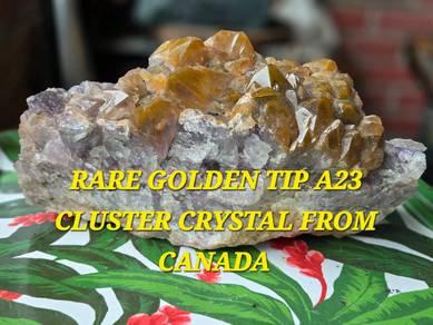 Very Rare Golden Tip Auralite 23 crystal - Canada