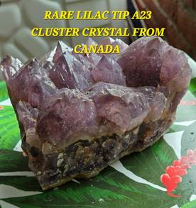 Rare Lilac tip Auralite 23 crystal from Canada