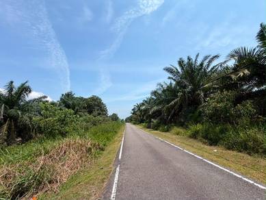 Pontian Ayer Baloi 3.562 Acres Oil Palm Land | Freehold 