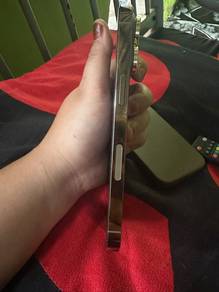 13 pro
