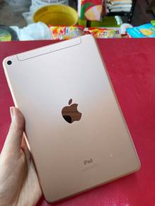 ipad mini 5