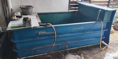 8ft fiber tank with fish