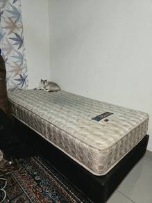 Single Bed + Divan