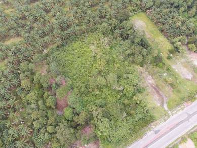 Kerian, Perak – Agricultural Land 3 Acres (2 Lots) For Sale