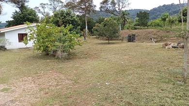 Tanah Kebun Buah atas Bukit View Putrajaya di Sepang