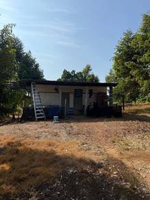 Price Reduced! Premium Durian Orchard For Sale | Pagoh, Muar
