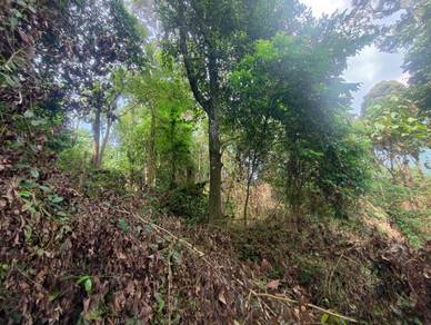 tanah dusun untuk di jual