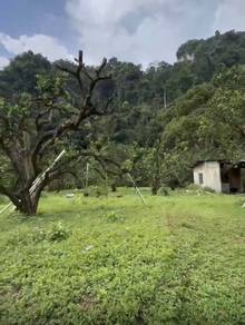 424 Tanah Dusun 2 Ekar Untuk Dijual – Tambun, Ipoh, Perak