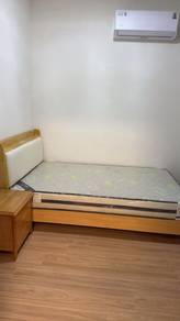 All Race 2 Queen Bed (New) Forest City For Rent
