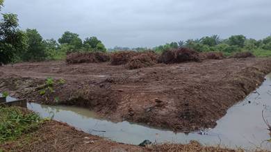 Agricultural-Land-for-rent-Telok-Mas-Melaka