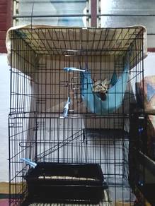 Sangkar Kucing 2 tingkat