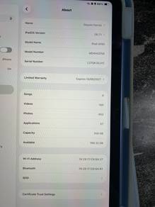 Ipad A16 ,256Gb